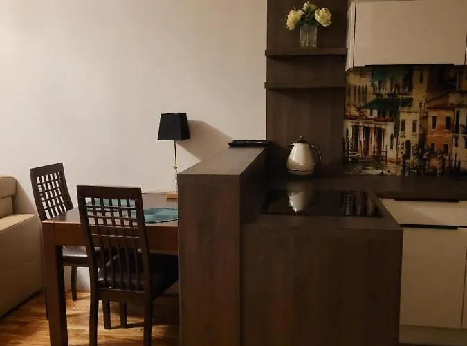 Moderna Francuska Park Катовице